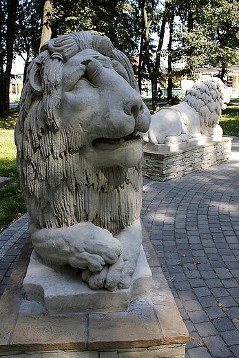 Horodo - kamienne lwy na Rynku