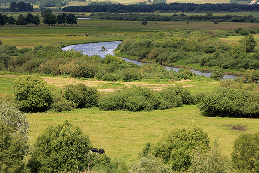 widok z Gry Strkowej