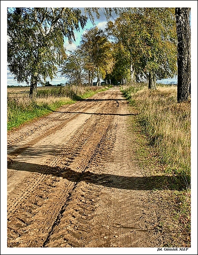 Polna droga...
