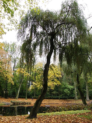 Biaystok. Planty.