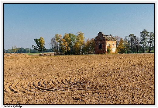 winice Kaliskie - spichlerz_ pozostao po zaoeniu dworskim