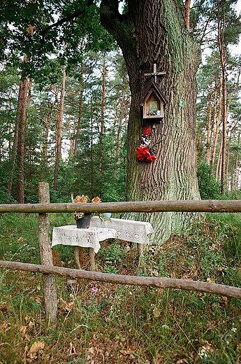 Kapliczka w lesie. Okolice Nadkola