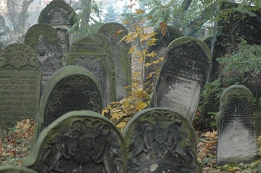 Piotrkw Trybunalski - cmentarz ydowski
