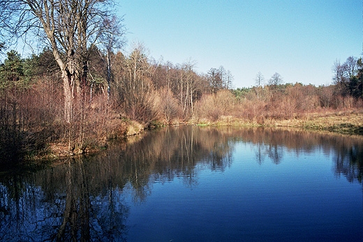 Polanka Horyniecka. Roztocze