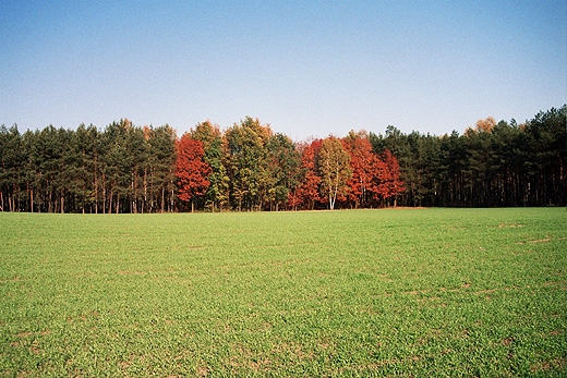 Okolice Starej Rawy. Mazowsze