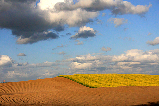 Ulkowy, wiosenne pola