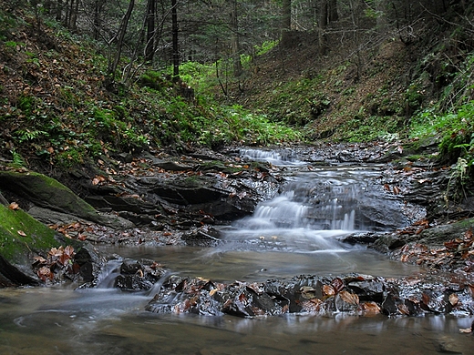 Odskocznia