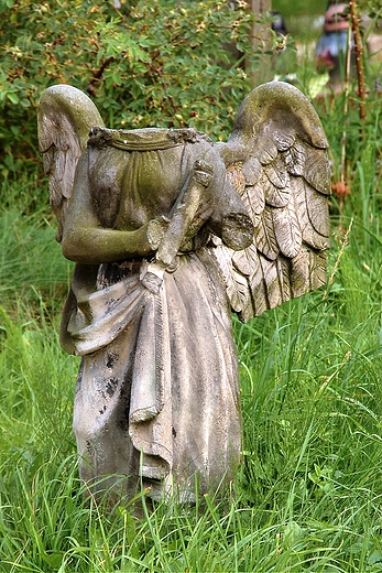 Ldek Zdrj - anio bez gowy na cmentarzu komunalnym