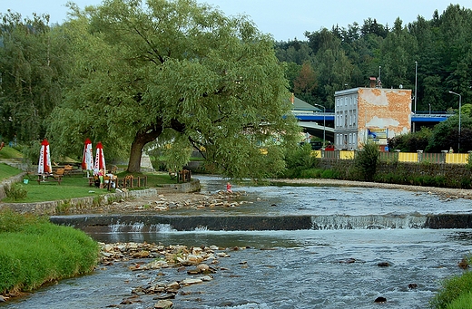 Ldek Zdrj - Biaa Ldecka