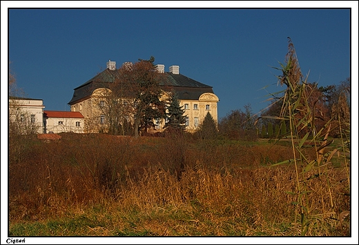 Cie - rokokowy paac biskupi _ widok przez szuwary nad rzek Wart