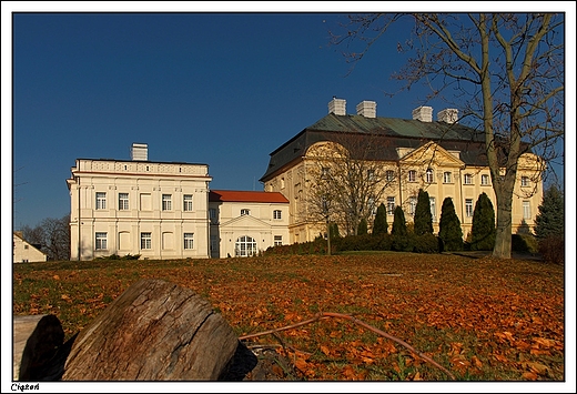 Cie - rokokowy paac biskupi _ widok fasady ogrodowej