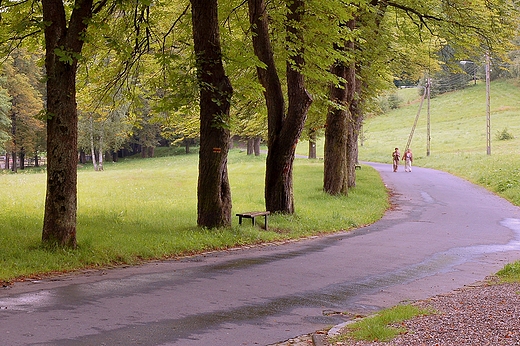 Ldek Zdrj - Park Zdrojowy