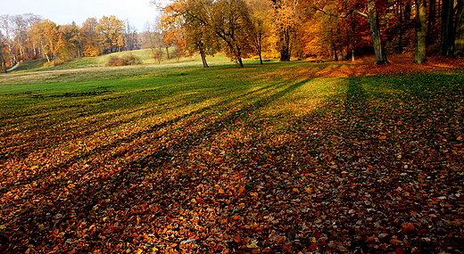 Park uk Muakowa - knica