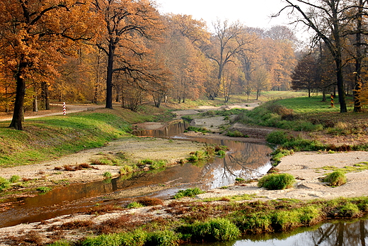 Park uk Muakowa - knica