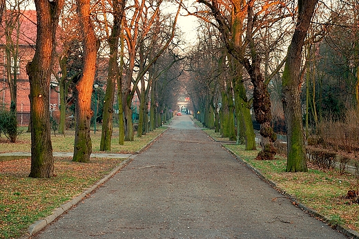 Kocian - fragment parku Wojewdzkiego Szpitala Neuropsychiatrycznego