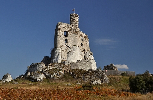 Ruiny Zamku w Mirowie