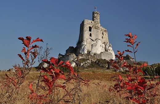 Ruiny Zamku w Mirowie jesieni