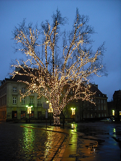 Warszawa. witecznie udekorowane drzewo na Rynku Nowego Miasta.