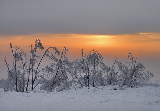 Zimowy wieczr w Mirowie