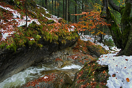 Tatry - Dolina Biaego Potoku