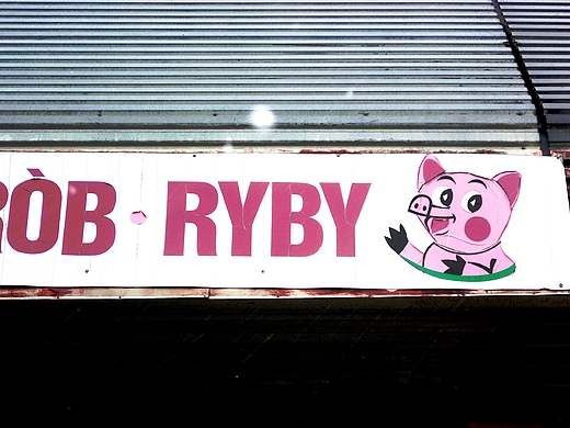 ryby..