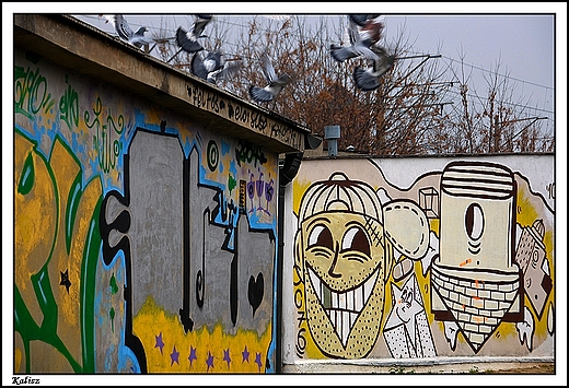Kalisz - murale na cianach transformatora i garay przy ul. Kresowej