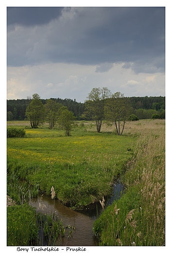 Nad Strug Zdrojank