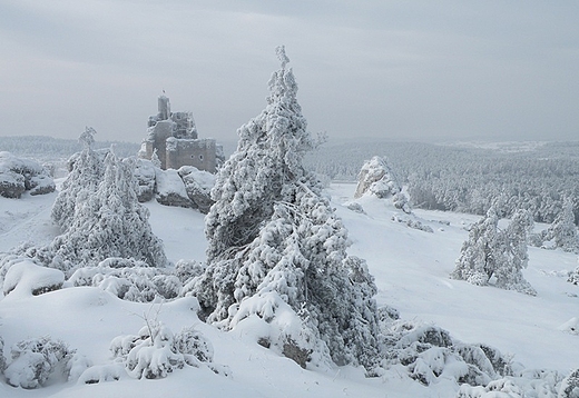 Zima w Mirowie