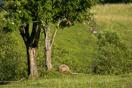 Suwalszczyzna