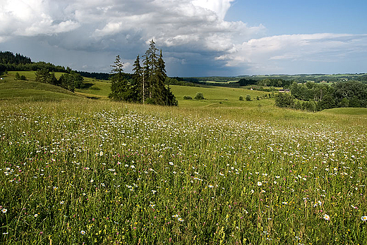 Suwalszczyzna