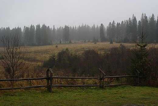 Bukowiec w padzierniku 2010r
