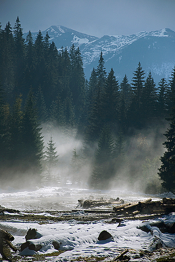 Tatry - Dolina Chochoowska - Polana Huciska