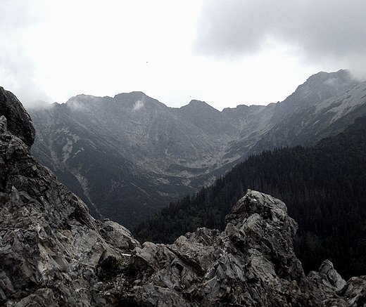 Widok z Gsiej Szyi na Tatry Wysokie