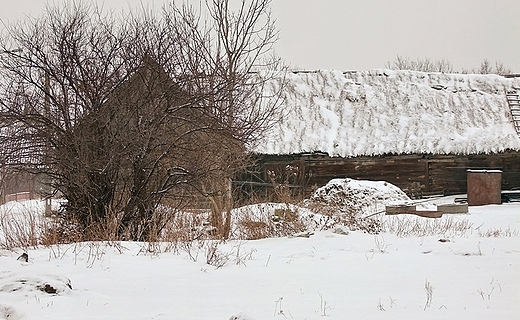 Skansen w Wgrowie