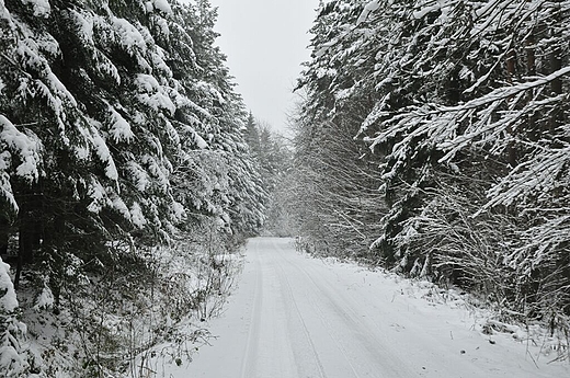 droga Bielanka - Nowica grudzien 2011