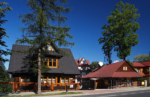 Zakopane Bystre. W stron Jaszczurwki.