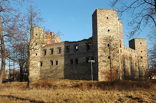 Drzewica - mury kurtynowe zamku kazimierzowskiego