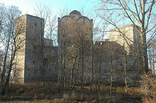 Drzewica - zamek krlewski