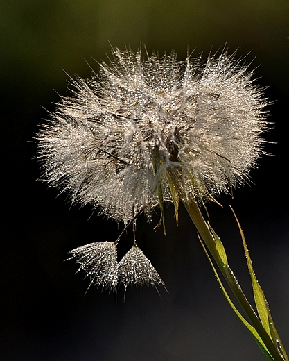 Jesienne wspomnienia...