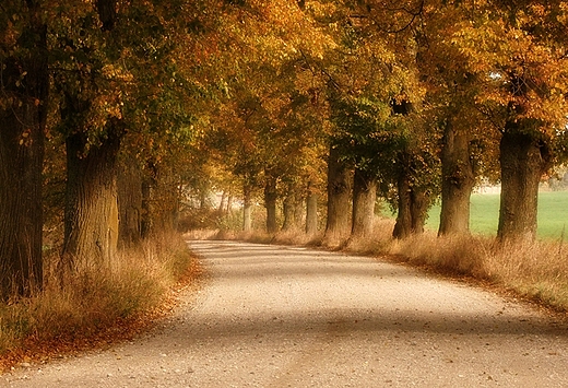 Mazury jesieni