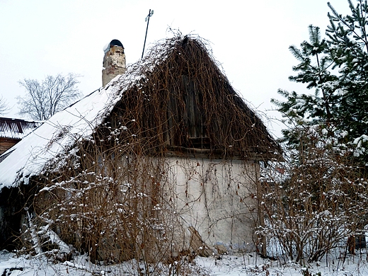 obrazek z ulicy w. Pitka