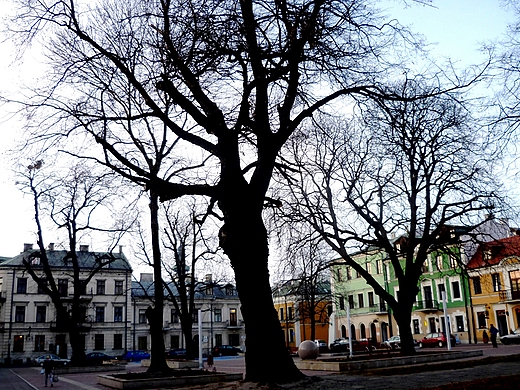 Rynek Wodny