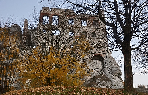 Zamek Ogrodzieniec w Podzamczu w listopadowej odsonie