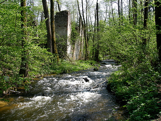 Rezerwat Czartowe Pole - ruiny papierni