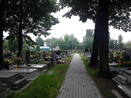 Sosnowiec-Niwka-Cmentarz.