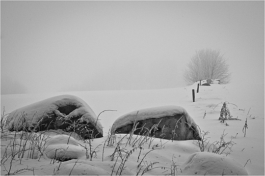 Suwalski Park Krajobrazowy.