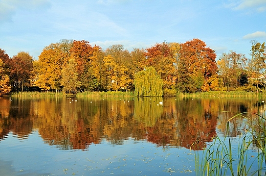 Park Sołacki