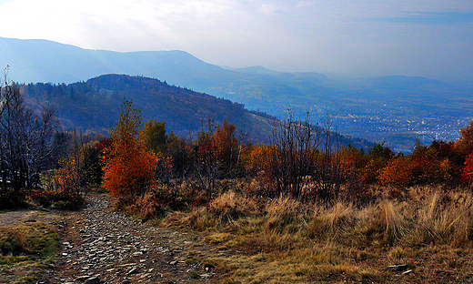 Panorama Beskidu lskiego- pasma Czantorii ze stokw Rwnicy.