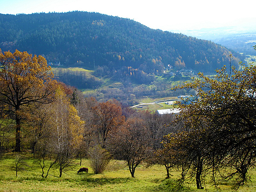 widok na Papro