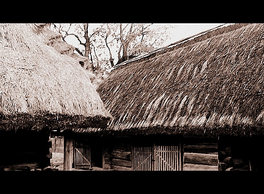 skansen. zagroda z Roztocza